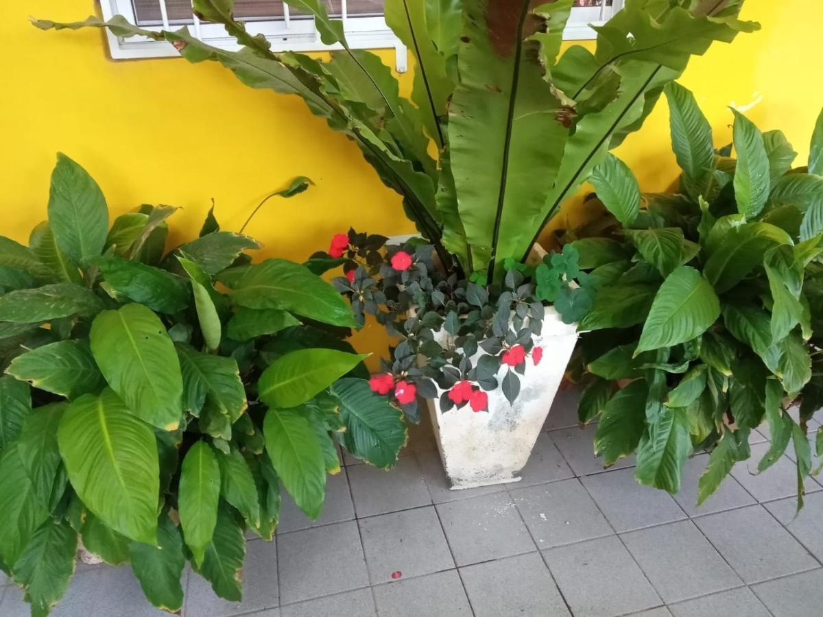 Raiz Del Cielo, Entre 2 Jardines De Ensueno Apartment Cordoba Exterior foto