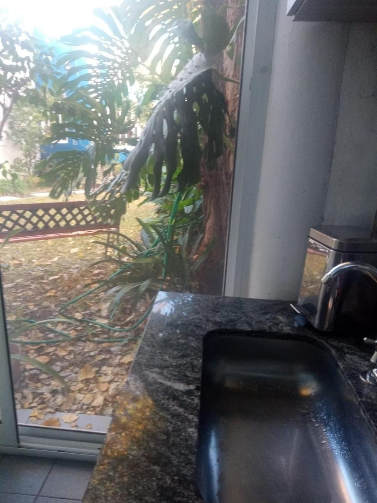 Raiz Del Cielo, Entre 2 Jardines De Ensueno Apartment Cordoba Exterior foto