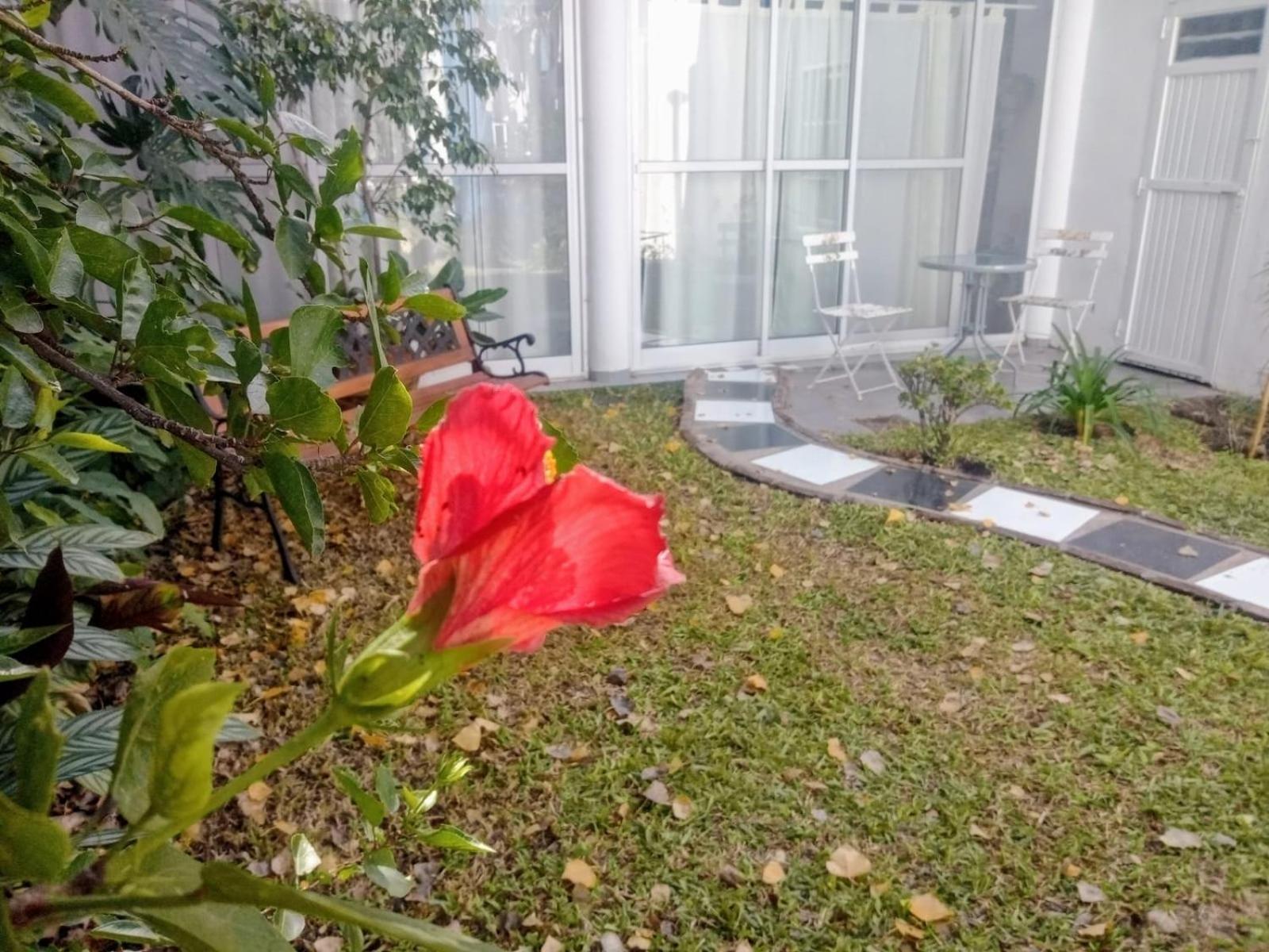 Raiz Del Cielo, Entre 2 Jardines De Ensueno Apartment Cordoba Exterior foto